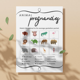 Animal Pregnancies Baby Shower Game